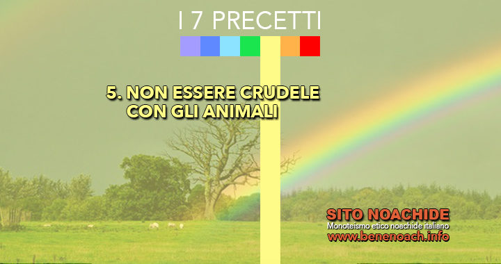 5. Non essere crudele con gli animali